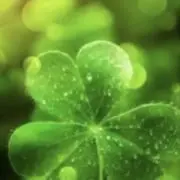 Natooの画像