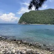 kinofoyの画像