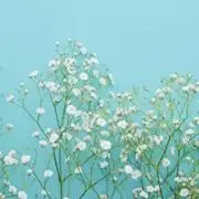 らららちゃんの画像