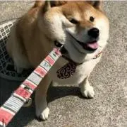 ichi.ten