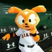 タイガーウッス