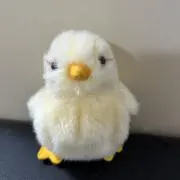 ぴぃちゃん 【プロフ必読】の画像