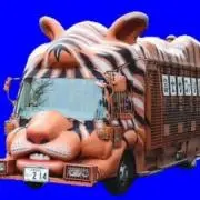 BSTITの画像