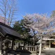 ゆず茶と水あめの画像