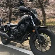 よっしー☆の画像
