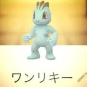 ワンリキーの画像