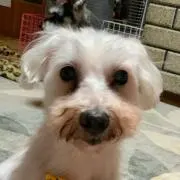 ミルキー♡探していたもの見つかるかも？の画像