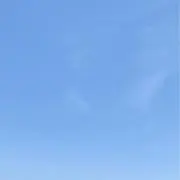 M (断捨離中)の画像