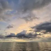 ゆめ【多少ですがお値下げ対応致します！】の画像