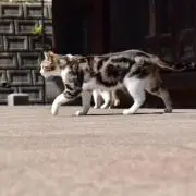シンプルの画像