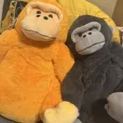 まっ【まとめ買い大歓迎】の画像