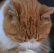 X370の画像