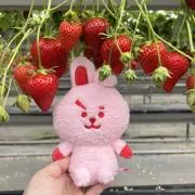 あかりママ