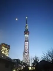 りんの画像