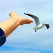 えみ