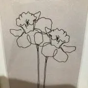 mikoの画像