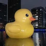 おくピーの画像
