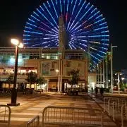 トシの画像