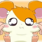 るぴの画像