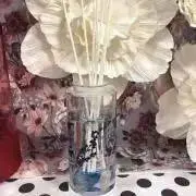 ichi※プロフ必の画像