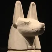 M M プロフィール必読の画像