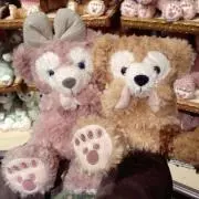 ☆チップの画像