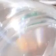 はにの画像
