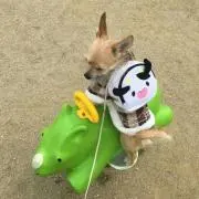 くまちゃん