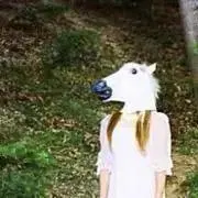 瀧の画像
