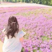 きなこの画像