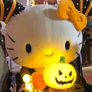 ゆきの画像