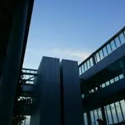 DAIの画像
