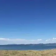 みどり