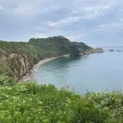 alumの画像
