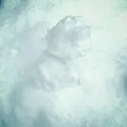 ゆんの画像