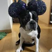 nico.satoの画像
