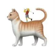 Image of 猫とゴルフ