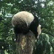 赤kieモツ