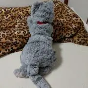 カリの画像