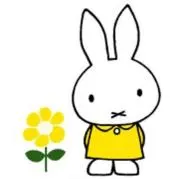 Kの画像