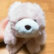 ミオノ＊自己紹介必ずご覧くださいの画像
