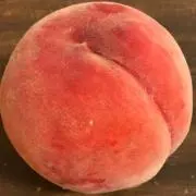 はうすの画像