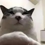 Asakoの画像