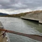 KU