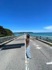 GRNの画像