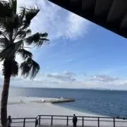 よたの画像