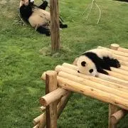 ちろ