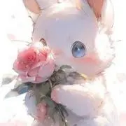 りさの画像