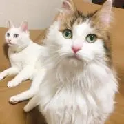 kotaro.bkkの画像
