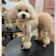 hrj♡購入前コメントくださいの画像